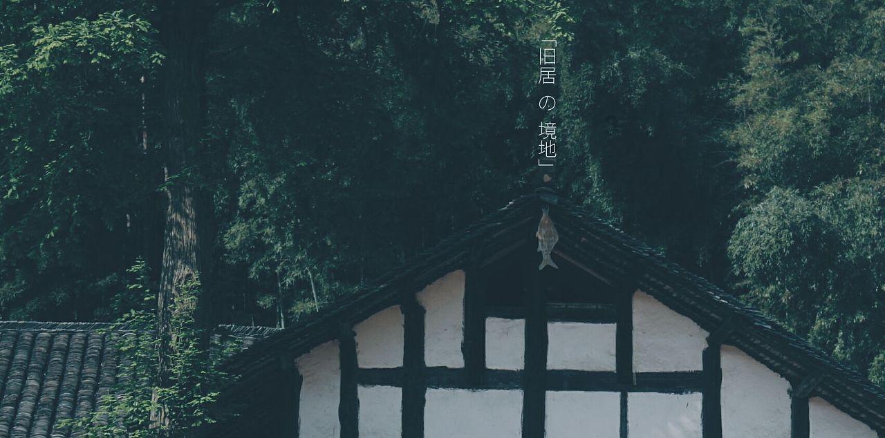 杜子的拼音和组词？游戏画面