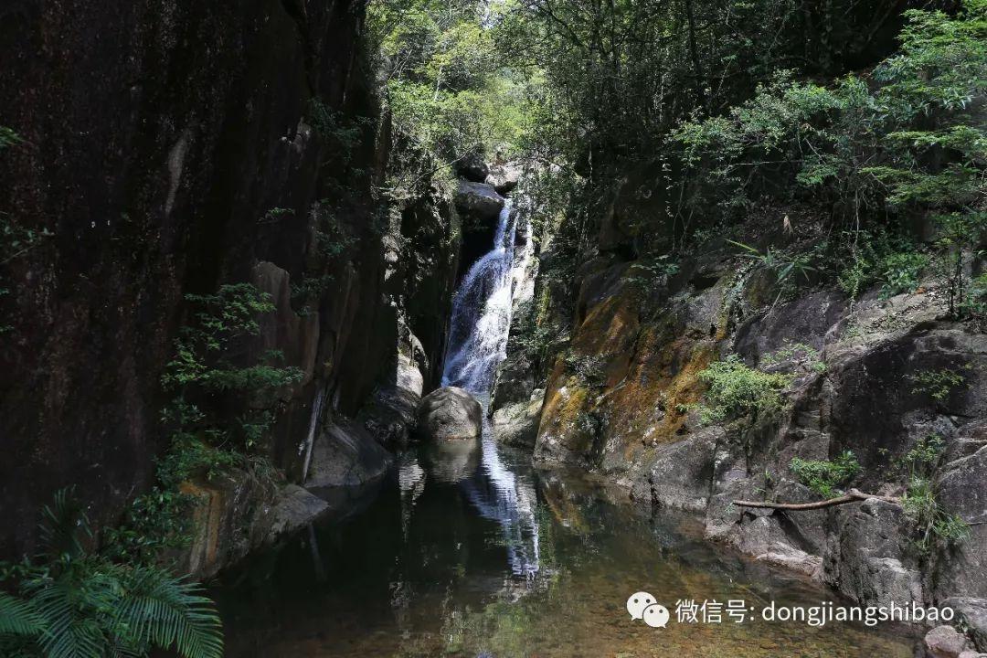 组装机械恐龙3