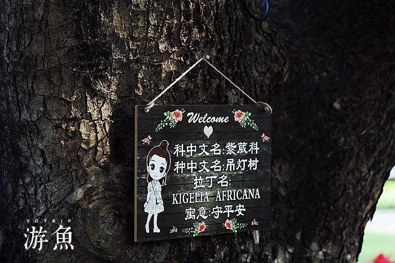 涨价潮来袭！全球最大精子银行上调精子价格，这是受哪些因素所影响？游戏画面
