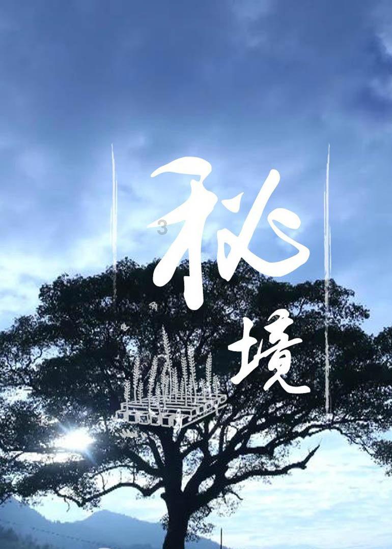 美妙森林找不同