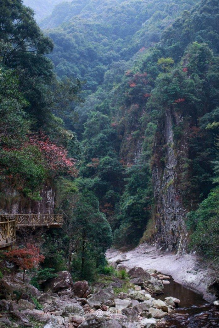 澳大利亚电信与TPN共同提升跨太平洋地区网络稳定性