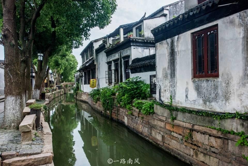 青海循化:生态向好 候鸟翩跹